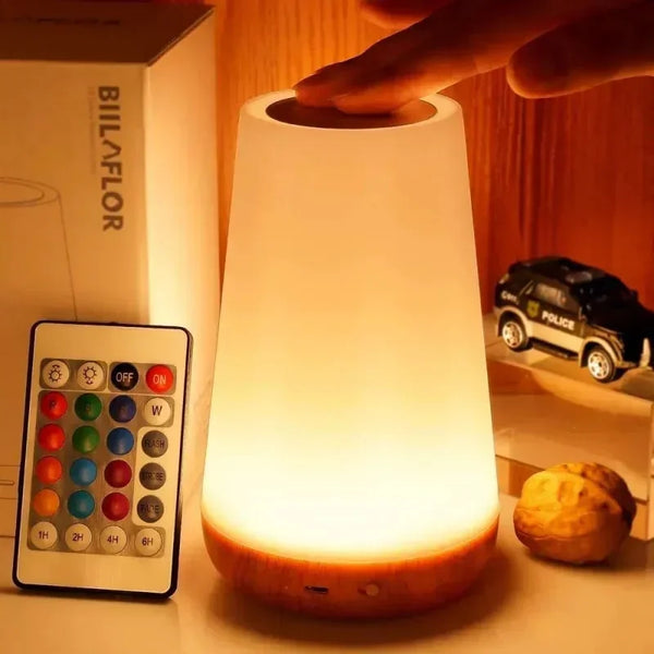 13-Color RGB Night Light Lamp