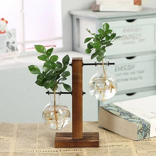 Terrarium Hydroponic Glass Plant Vase