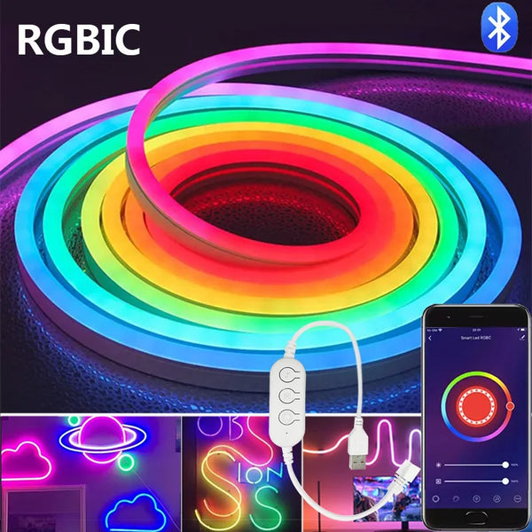 DC5V RGBIC Neon LED Strip