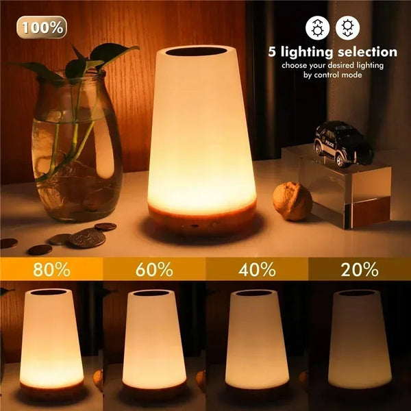 13-Color RGB Night Light Lamp